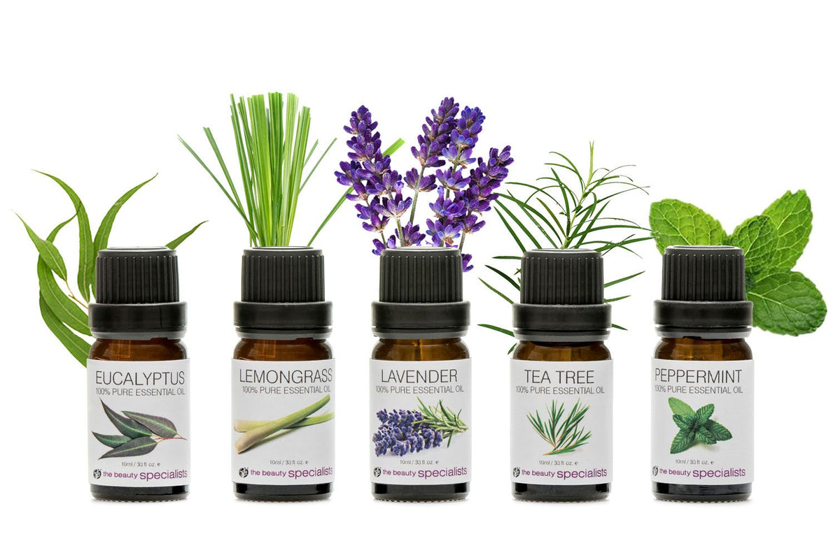 rio aromatherapy 100& essential oil collection 5 10ml bottles illustrated with images of eucalyptus lemongrass lavender tea tree and peppermint 