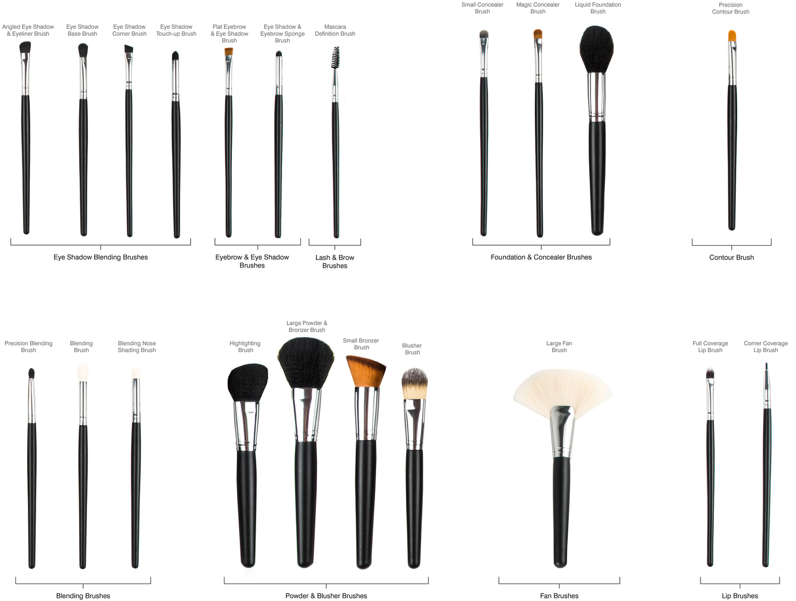 The Rio PROFESSIONAL SALON MAKEUP BRUSH COLLECTION & BELT is a labeled guide to brushes by type—eye shadow, eyebrow, lash, foundation, contour, powder, blush, fan, and lip—each in distinct shapes and sizes.