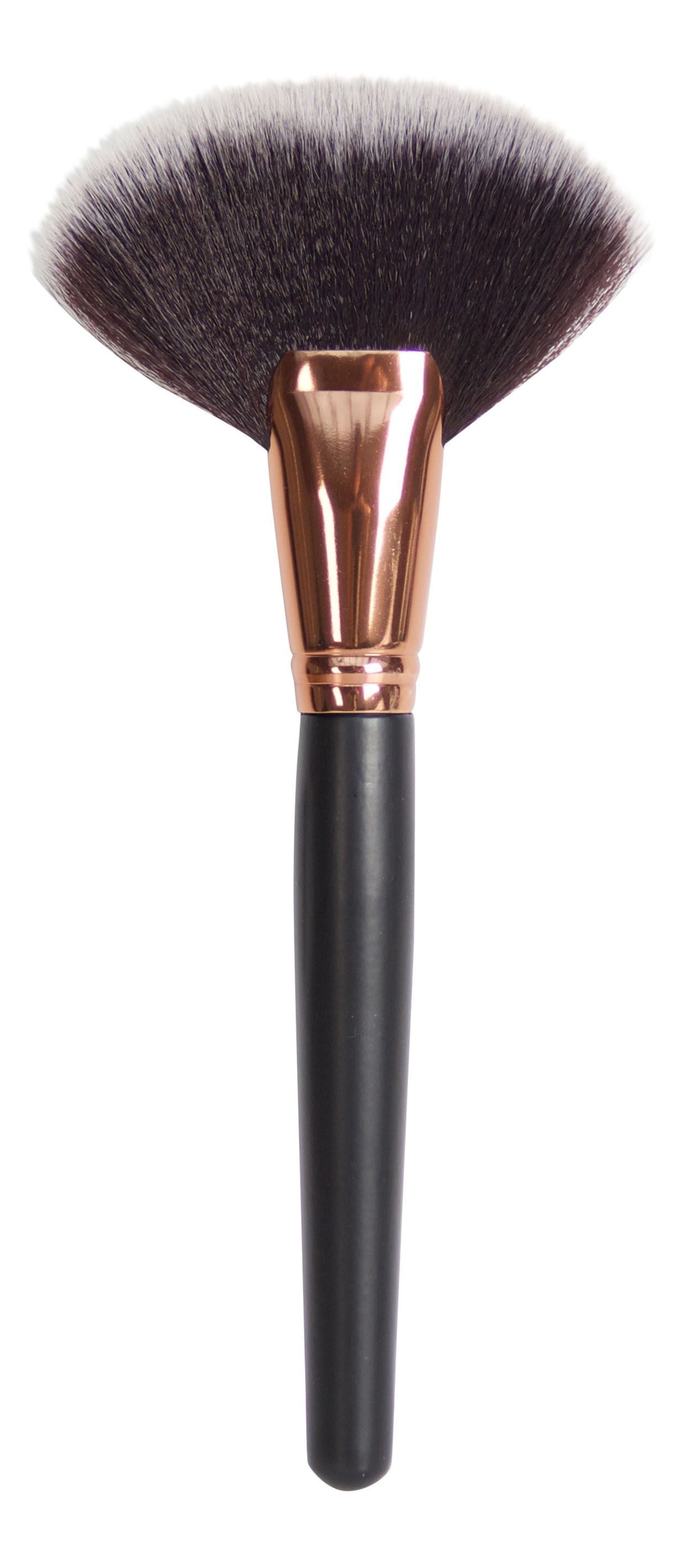 large fan powder brush 